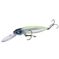 AllBlue EXPLORER 120F DR (Pontoon 21 Moby Dick 120F DR) колір E