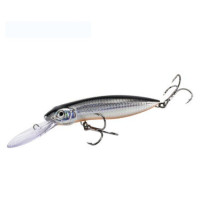 AllBlue EXPLORER 120F DR (Pontoon 21 Moby Dick 120F DR) цвет H