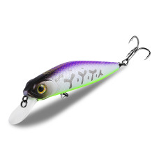 Asinia CrackJack 78SP-SR (Pontoon 21 CrackJack 78SP-MR) цвет I