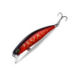 Asinia Demon 75S (DUO Tide Minnow 75S Sprint)