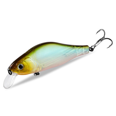 Asinia Khamsin 106SP (ZipBaits Khamsin 105SP) цвет T