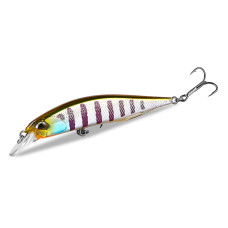 Asinia Realis 85SP (DUO Realis 85SP) цвет G
