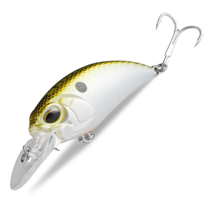 Asinia Realis Crank 65F 8A (DUO Realis Crank 65F) цвет H