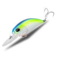 Asinia Realis Crank 65F 11A (DUO Realis Crank 65F) колір G