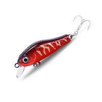 Asinia Rigge 35S (ZipBaits Rigge 35S) колір E