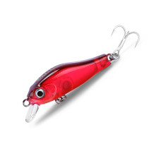 Asinia Rigge 35S (ZipBaits Rigge 35S) цвет F