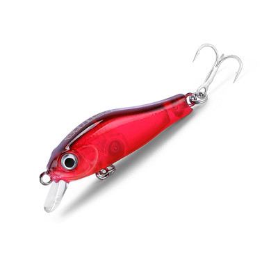 Asinia Rigge 35S (ZipBaits Rigge 35S) цвет F