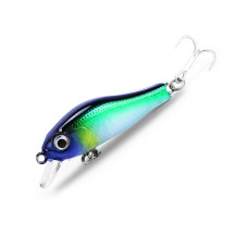 Asinia Rigge 35S (ZipBaits Rigge 35S) цвет J