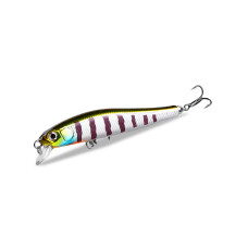 Asinia Rigge 70SP (ZipBaits Rigge 70SP) цвет C