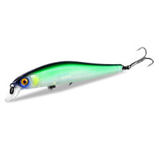 Asinia Rigge 90SP (ZipBaits Rigge 90SP) цвет C