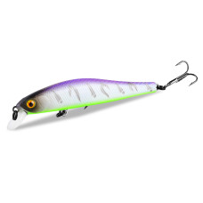 Asinia Rigge 90SP (ZipBaits Rigge 90SP) цвет E