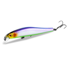 Asinia Rigge 90SP (ZipBaits Rigge 90SP) цвет J