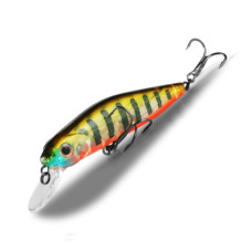 BearKing CrackJack 78SP-SR (Pontoon 21 CrackJack 78SP-MR) цвет G