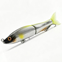 BearKing Jointed Claw 70S (Gan Craft Jointed Claw 70S) цвет I