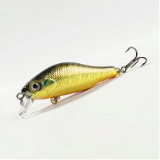 BearKing Khamsin 50F (ZipBaits Khamsin 50F) цвет B