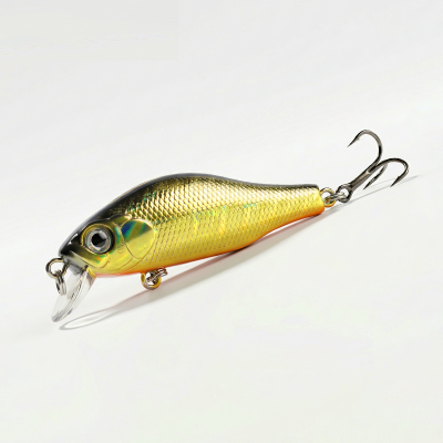 BearKing Khamsin 50F (ZipBaits Khamsin 50F) цвет B