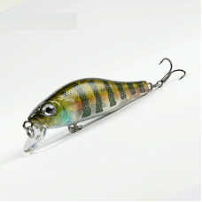 BearKing Khamsin 50F (ZipBaits Khamsin 50F) цвет G