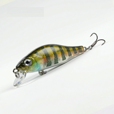 BearKing Khamsin 50F (ZipBaits Khamsin 50F) цвет G