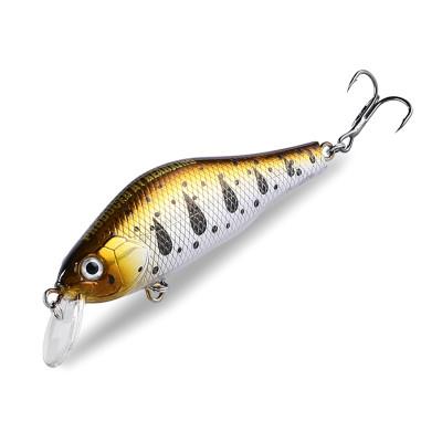 BearKing Khamsin 70 SP-SR (ZipBaits Khamsin 70 SP-SR) цвет C