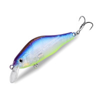 BearKing Khamsin 70 SP-SR (ZipBaits Khamsin 70 SP-SR) цвет E