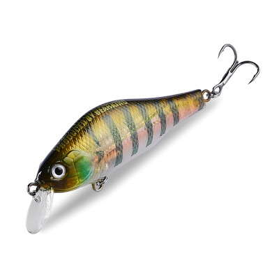 BearKing Khamsin 70 SP-SR (ZipBaits Khamsin 70 SP-SR) цвет G