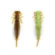 BearKing Larva 50mm 10 шт.