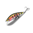 BearKing Shark A10 50S (ITO CRAFT Imishi 50S First Model Type II)