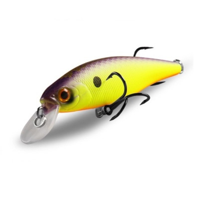 BearKing Squad Minnow 65SP (Jackall Squad Minnow 65SP) цвет C