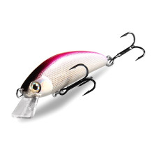 BearKing Sukari 50SS (Ima Sukari 50SS) цвет J