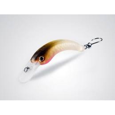 BearKing Timon Noracra 29F (Jackall Timon Noracra 29F) цвет C