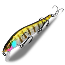 BearKing Vision 110SP (Megabass Vision 110SP) цвет E