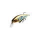 BearKing Squad Minnow 65SP (Jackall Squad Minnow 65SP)